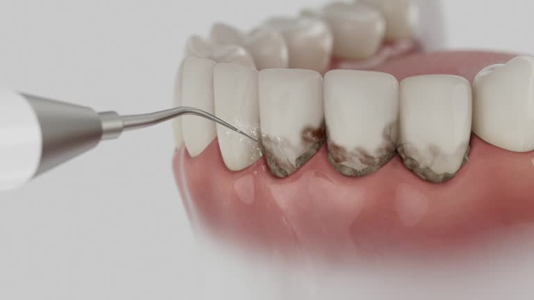 Reliable Dental contractor in Circle Pines, MN by Dentist Open Now